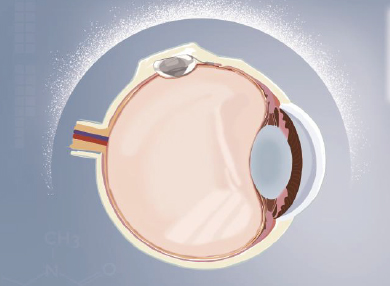 Mansion88明升·(中国集团)官方网站