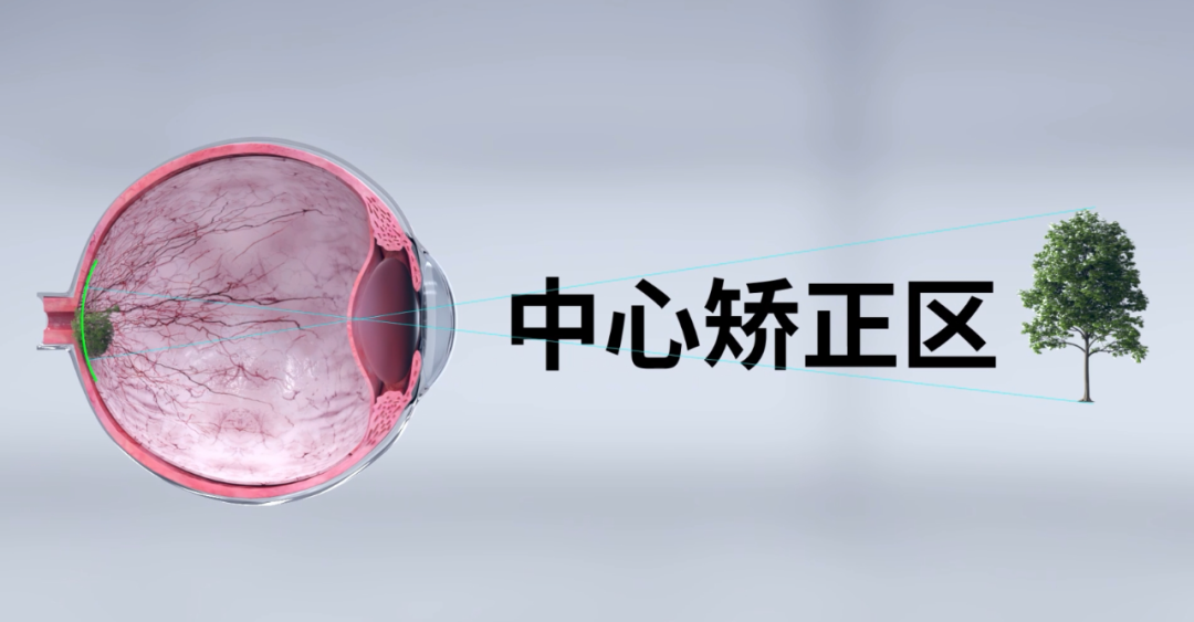 Mansion88明升·(中国集团)官方网站