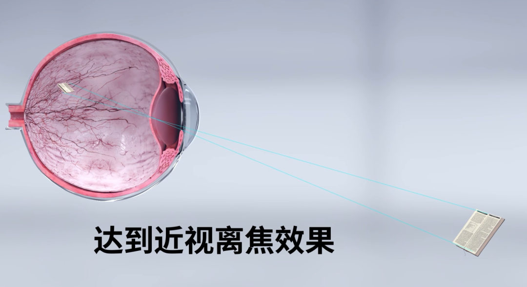 Mansion88明升·(中国集团)官方网站